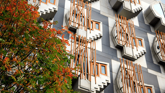 Windows in the MSP block at the Scottish Parliament with tree in foreground