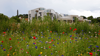 Scottish Parliament seen from wild flower meadow