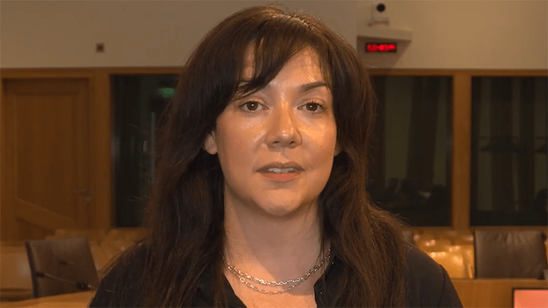 Dr Clementine Hill O’Connor, Research Fellow, University of Glasgow, speaking in a committee room at the Scottish Parliament