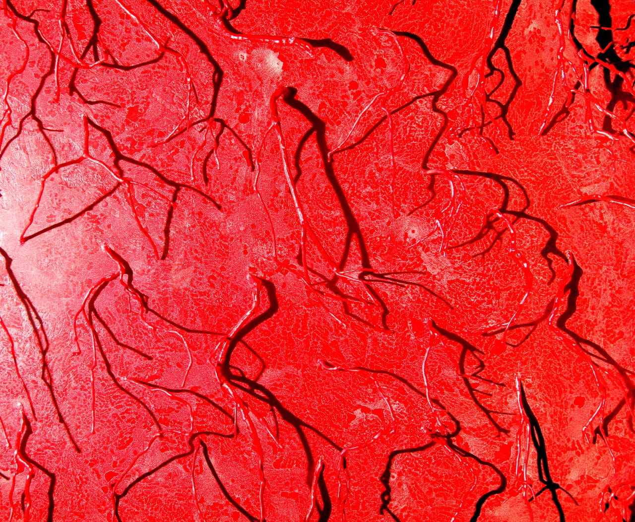 Detail of the painting's red surface.
