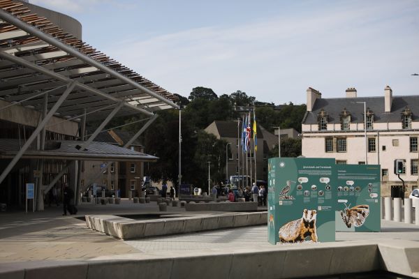 The Voice for Nature display outside the Scottish Parliament during the day