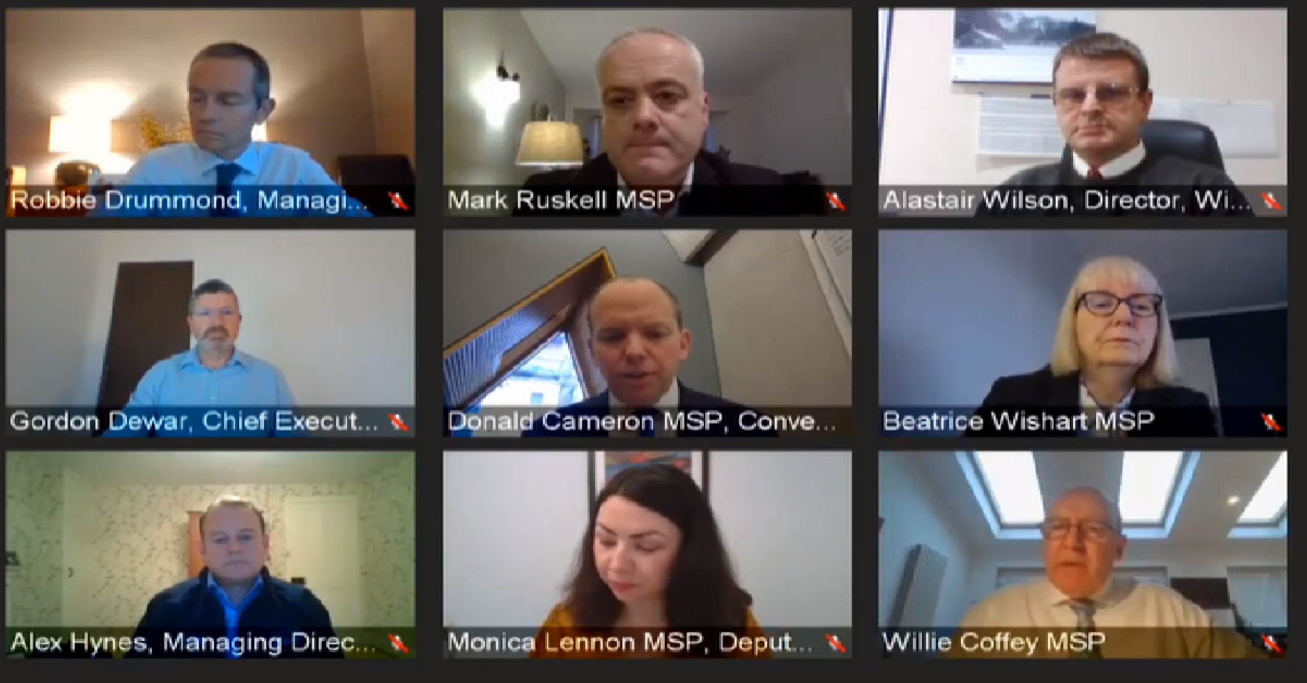 Witnesses giving evidence to the COVID-19 Committee on the economic impact of restrictions over winter at its meeting on 10 December 2020.