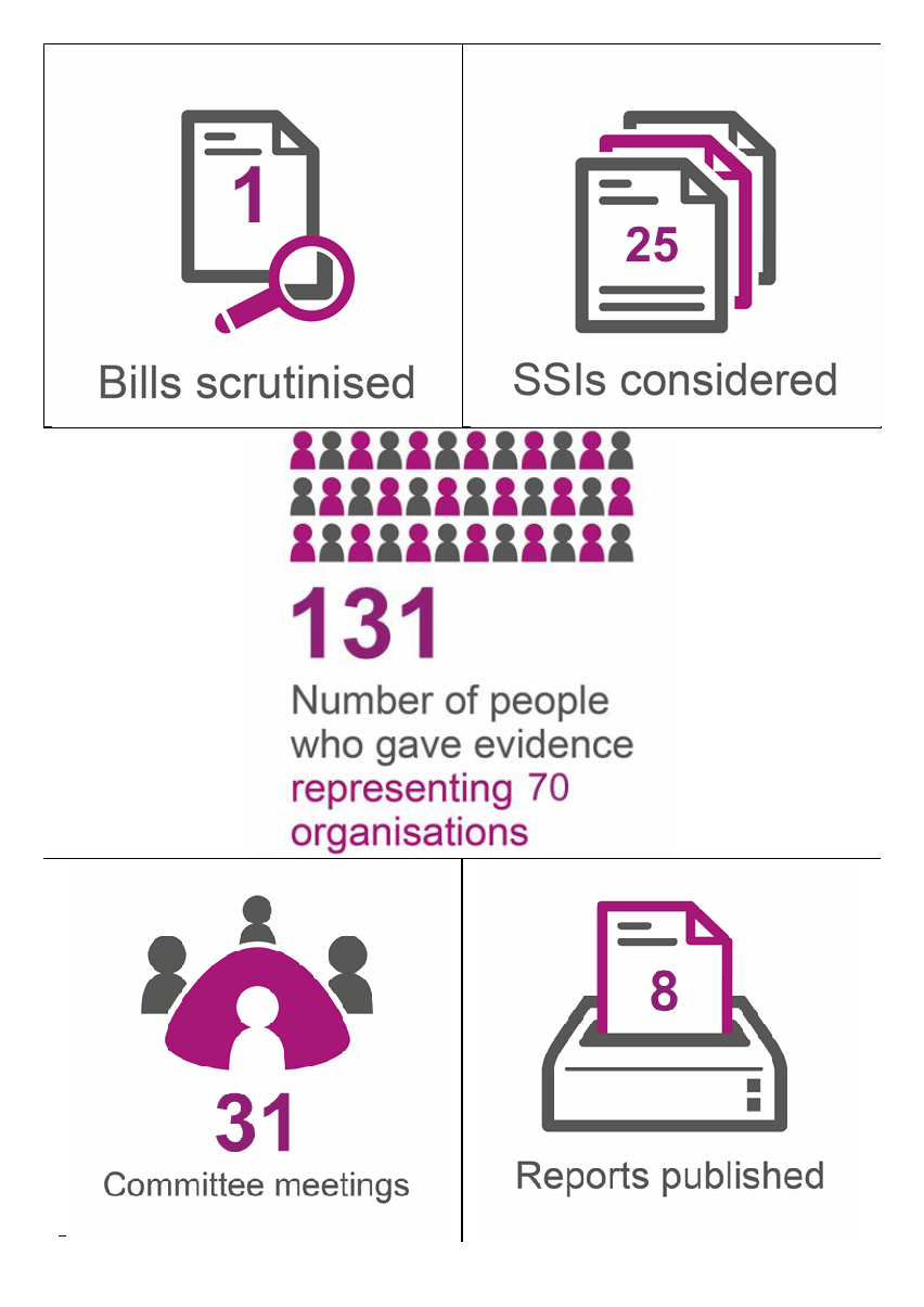 Infographics of Committee statistics in numbers