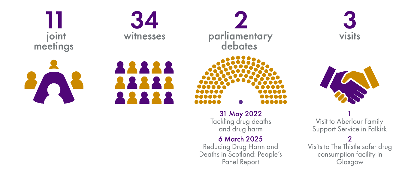 11 Joint Meetings, 34 Witnesses, 2 Parliamentary Debates, 3 Visits