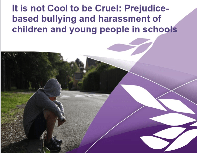 We published our findings and recommendations on school bullying and harassment in July 2017. 
