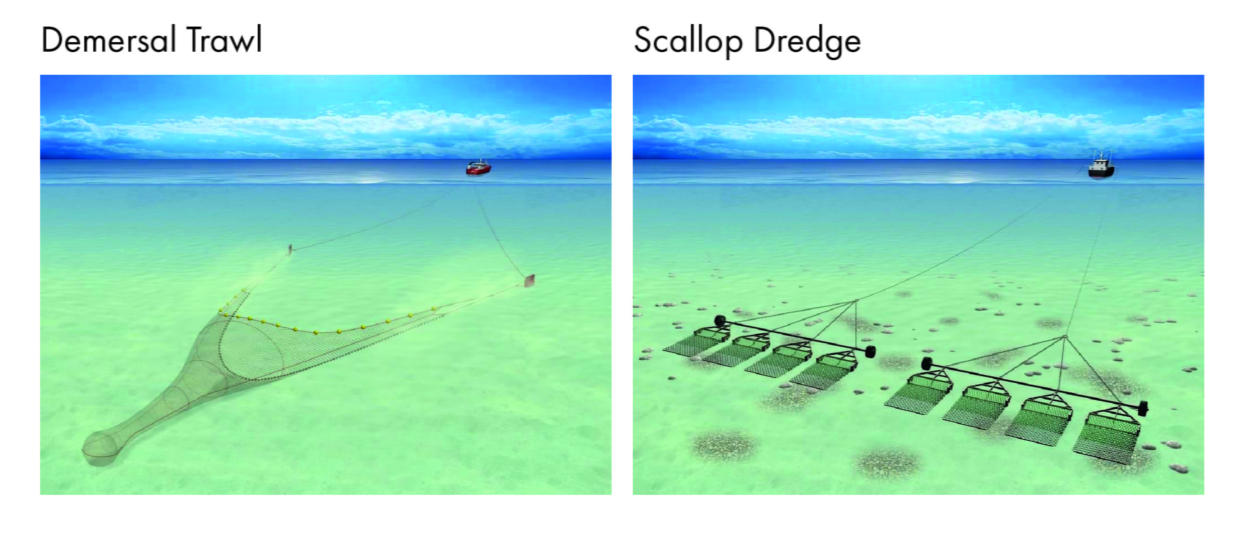 Schematic images of types of two types of mobile-fishing equipment - demersal trawl and scallop dredge