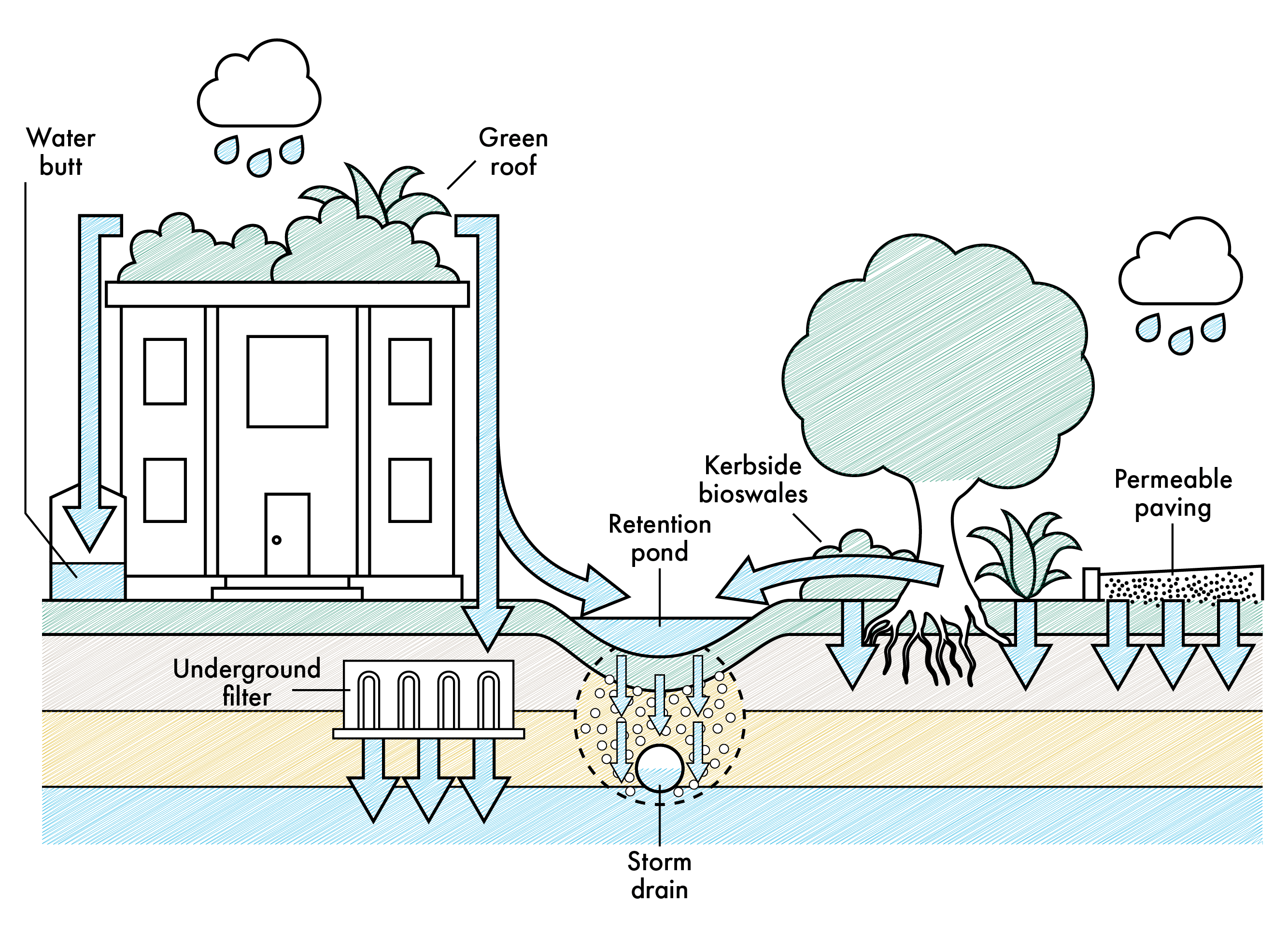 A diagram showing components of a Sustainable Drainage System (SuDS) around a house. Key features include: Water butt collecting rainwater from the roof. Green roof absorbing rainfall. Underground filter treating excess water before it enters the storm drain. Kerbside bioswales channelling and filtering runoff. Retention pond storing water temporarily. Permeable paving allowing water to soak into the ground. The system illustrates how SuDS elements work together to manage rainwater sustainably, reduce flood risk, and improve water quality by mimicking natural drainage.