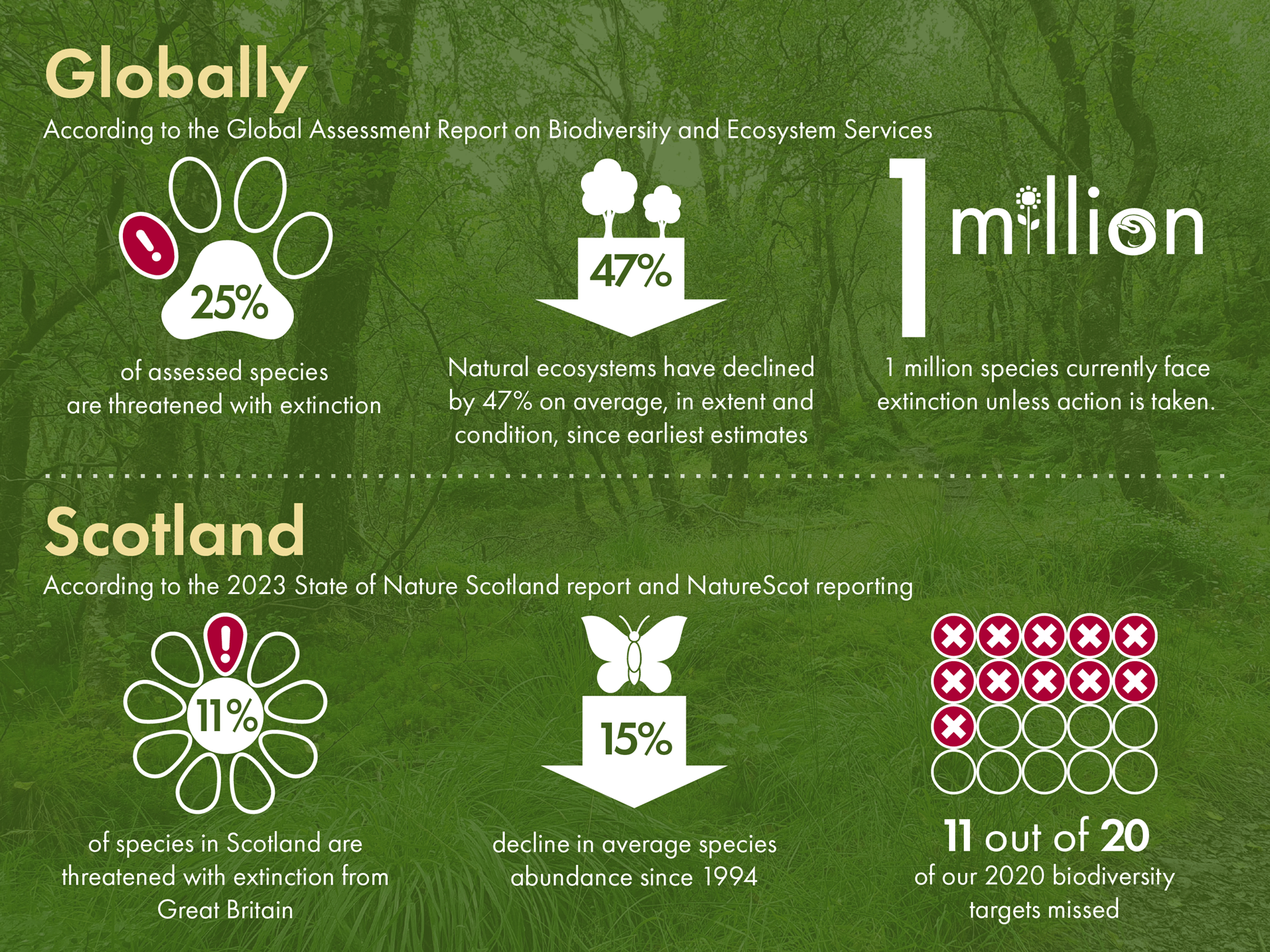 The image shows an infographic of key figures on nature crisis in Scotland and globally. It shows that according to the UN global assessment, at a global level 25% of assessed species are threatened with extinction, natural ecosystems have declined 47% on average by extent and condition, and 1 million species are estimated to be threatened with extinction. In Scotland, the State of Nature 2023 report suggested that 11% of species are threatened with extinction and there has been a 15% drop in species abundance since 1994. The image also shows that Scotland missed 11 out of its 20 previous biodiversity targets for 2020.